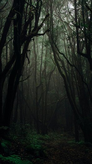 Performance Marketing